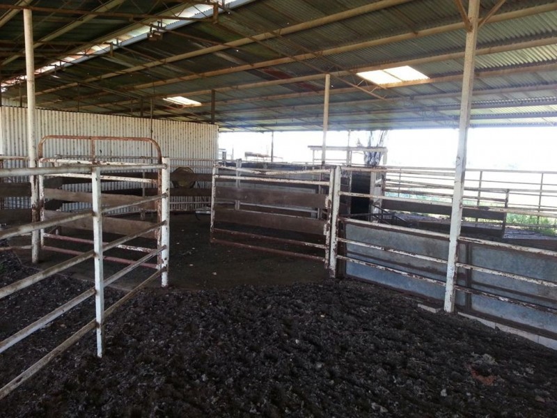 1143 Wantiool Road, Eurongilly NSW 2663