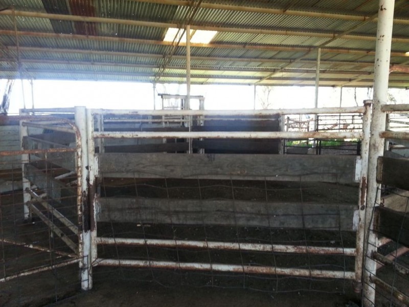 1143 Wantiool Road, Eurongilly NSW 2663