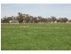 Kabinga 3474 Sturt Highway, Wagga Wagga NSW 2650