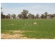 Kabinga 3474 Sturt Highway, Wagga Wagga NSW 2650