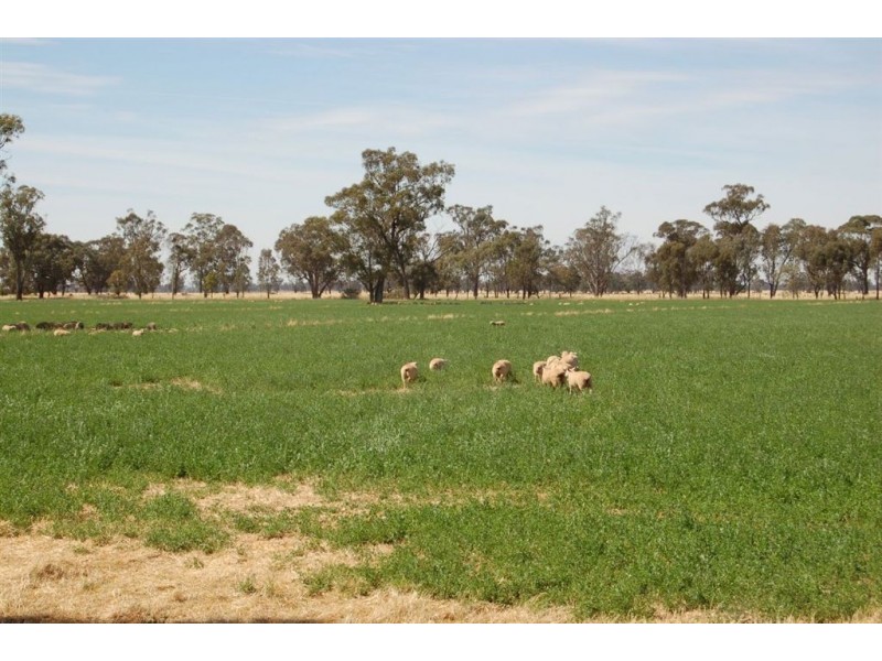 Kabinga 3474 Sturt Highway, Wagga Wagga NSW 2650