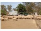 Kabinga 3474 Sturt Highway, Wagga Wagga NSW 2650