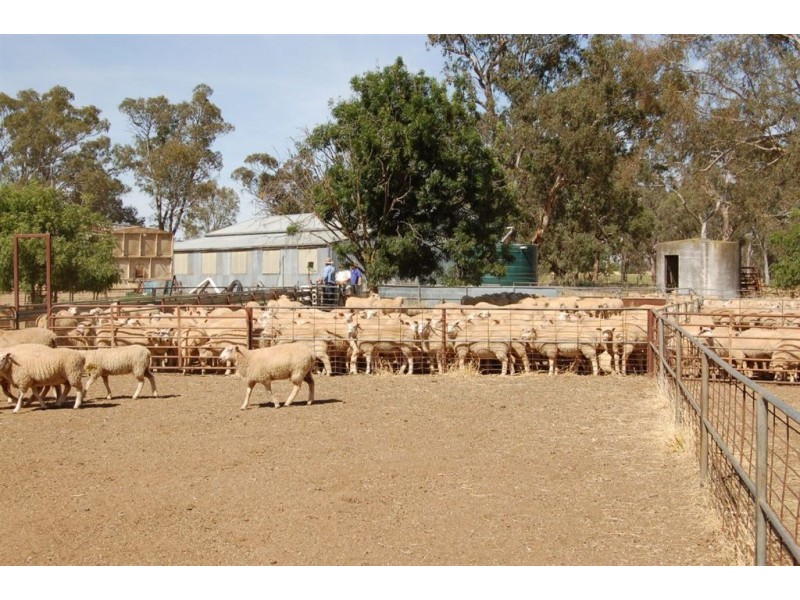 Kabinga 3474 Sturt Highway, Wagga Wagga NSW 2650