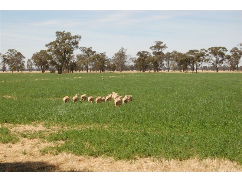 Kabinga 3474 Sturt Highway, Wagga Wagga NSW 2650