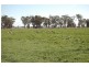 Kabinga 3474 Sturt Highway, Wagga Wagga NSW 2650