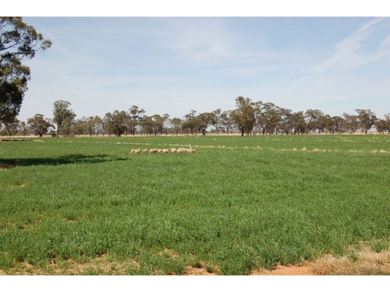 Kabinga 3474 Sturt Highway, Wagga Wagga NSW 2650