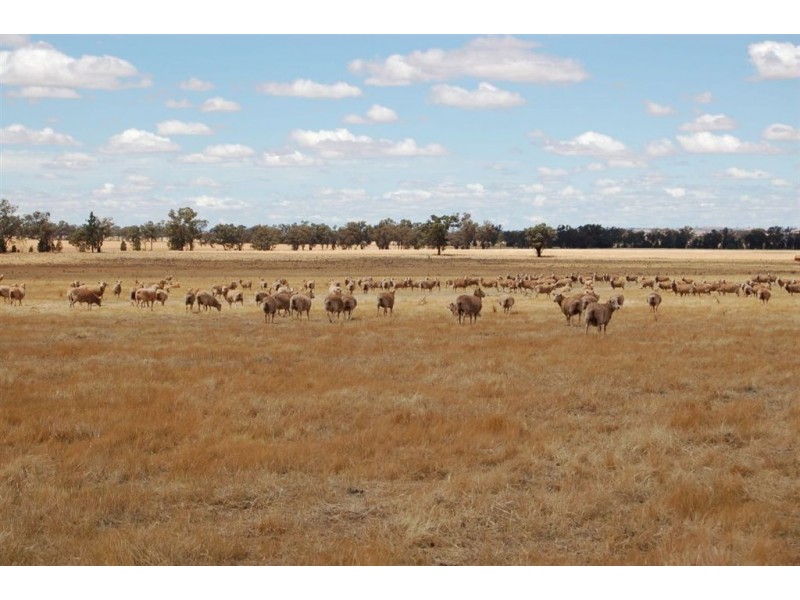 PostOffice 1090 Berry Jerry Lane, Coolamon NSW 2701