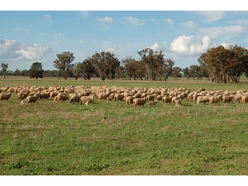 PostOffice 1090 Berry Jerry Lane, Coolamon NSW 2701