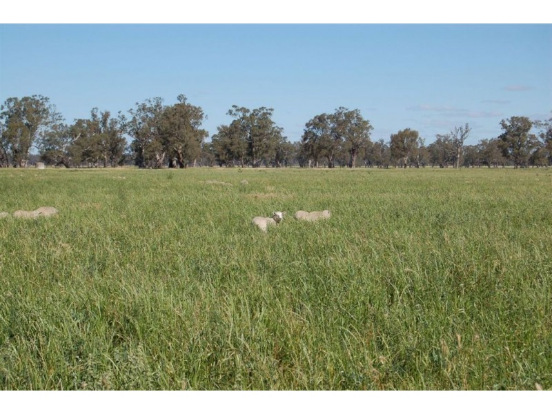 Berryjerry Homestead, 190 Berryjerry Lane, Wagga Wagga NSW 2650