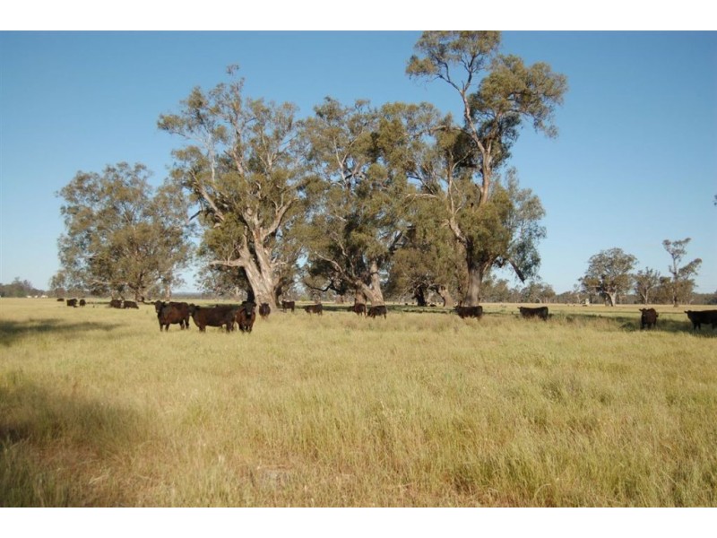 Berryjerry Homestead, 190 Berryjerry Lane, Wagga Wagga NSW 2650