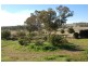 Gundaroo Park, Junee Road, Marrar NSW 2652