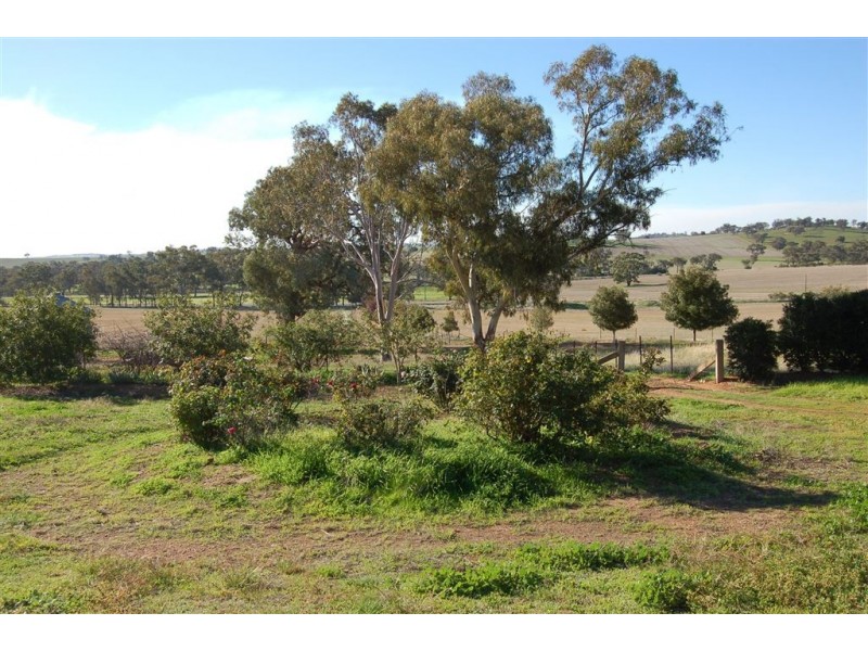 Gundaroo Park, Junee Road, Marrar NSW 2652