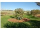 Gundaroo Park, Junee Road, Marrar NSW 2652