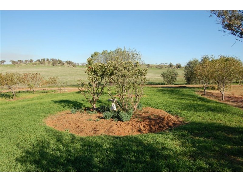 Gundaroo Park, Junee Road, Marrar NSW 2652