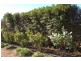 Gundaroo Park, Junee Road, Marrar NSW 2652