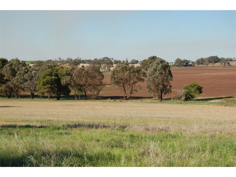 Gundaroo Park, Junee Road, Marrar NSW 2652
