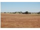 Gundaroo Park, Junee Road, Marrar NSW 2652