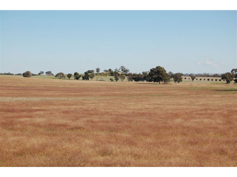 Gundaroo Park, Junee Road, Marrar NSW 2652