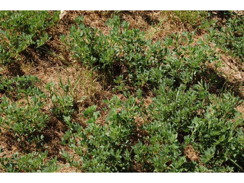 Kindra Falls, Ardlethan Road, Coolamon NSW 2701