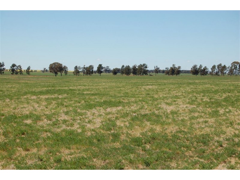 Kindra Falls, Ardlethan Road, Coolamon NSW 2701