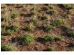 Kindra Falls, Ardlethan Road, Coolamon NSW 2701