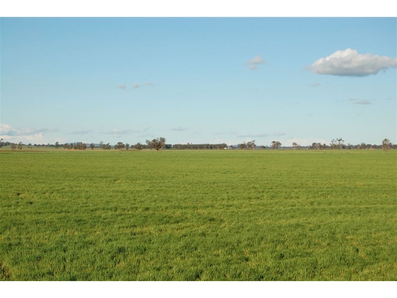 Kindra Falls, Ardlethan Road, Coolamon NSW 2701