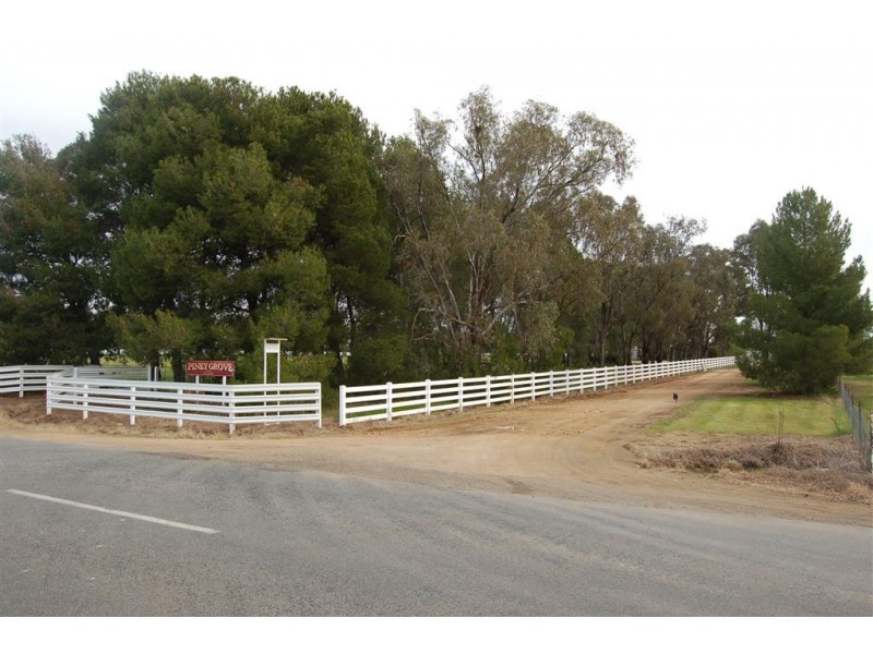 Piney Grove, Collingullie via, Wagga Wagga NSW 2650