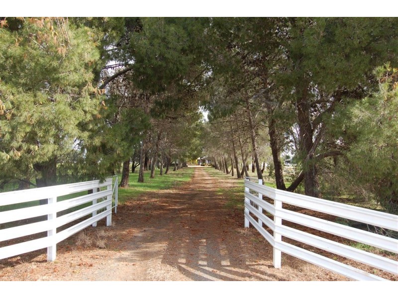 Piney Grove, Collingullie via, Wagga Wagga NSW 2650