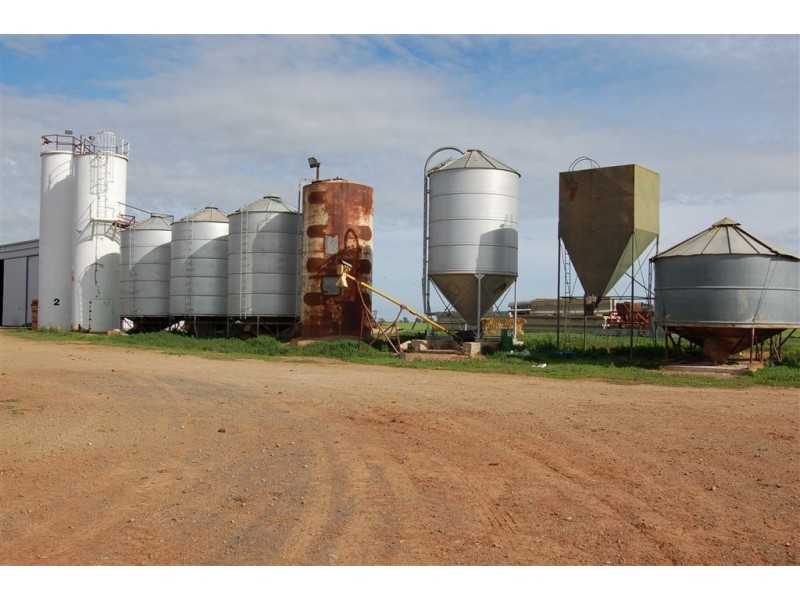 Piney Grove, Collingullie via, Wagga Wagga NSW 2650