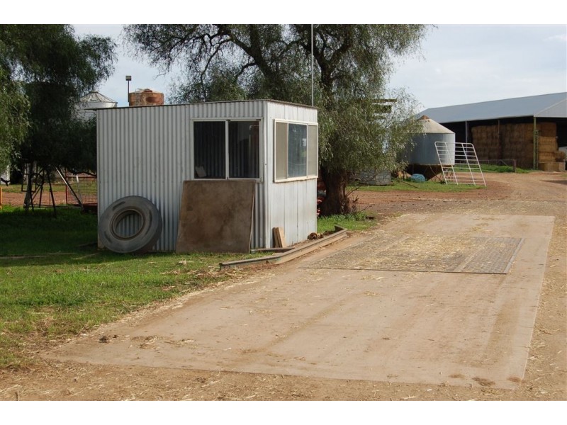 Piney Grove, Collingullie via, Wagga Wagga NSW 2650