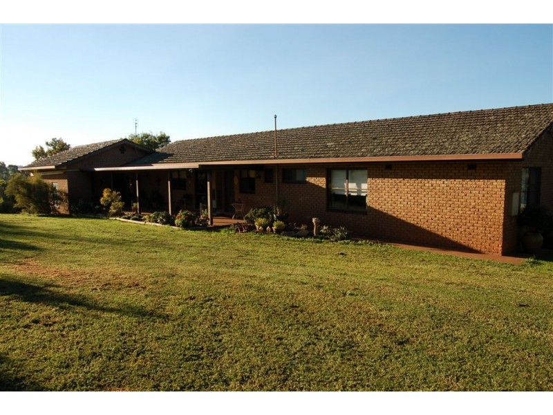 Keajura Grove, Murray’s Lane, Tarcutta NSW 2652