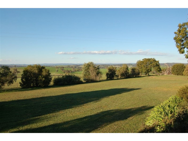 Keajura Grove, Murray’s Lane, Tarcutta NSW 2652