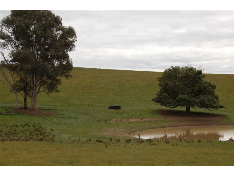 Keajura Grove, Murray’s Lane, Tarcutta NSW 2652