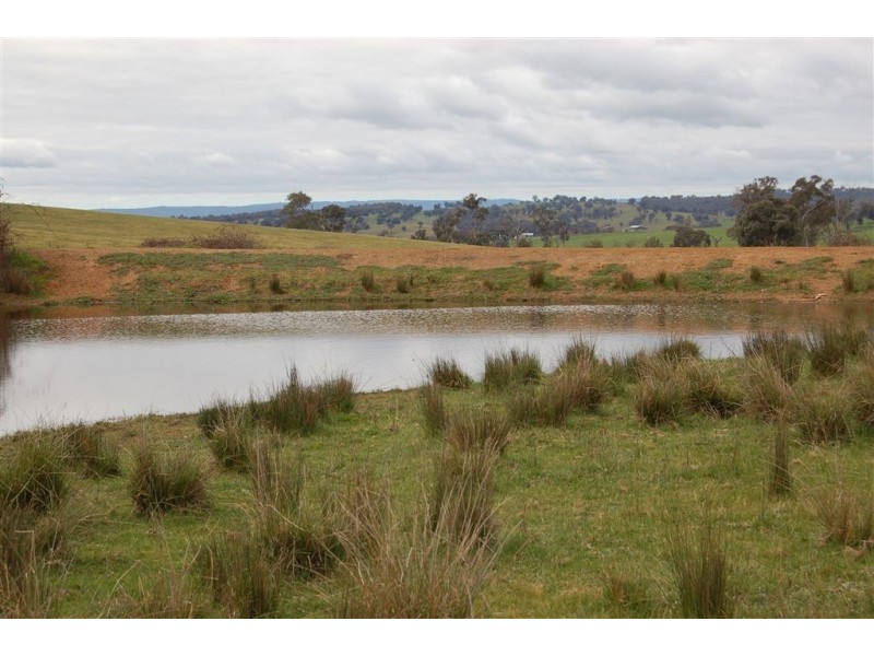 Keajura Grove, Murray’s Lane, Tarcutta NSW 2652