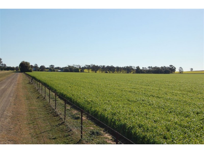 Una 577 Tooyal Road, Wagga Wagga NSW 2650