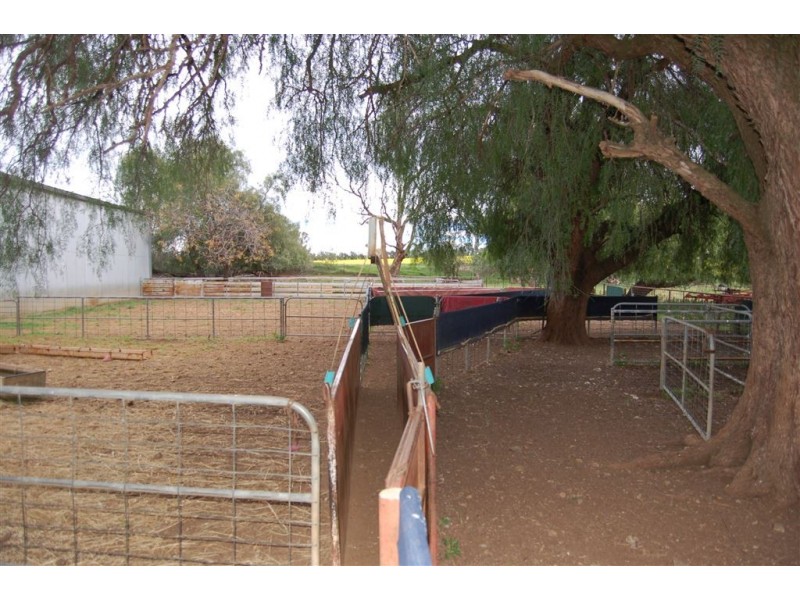 Una 577 Tooyal Road, Wagga Wagga NSW 2650