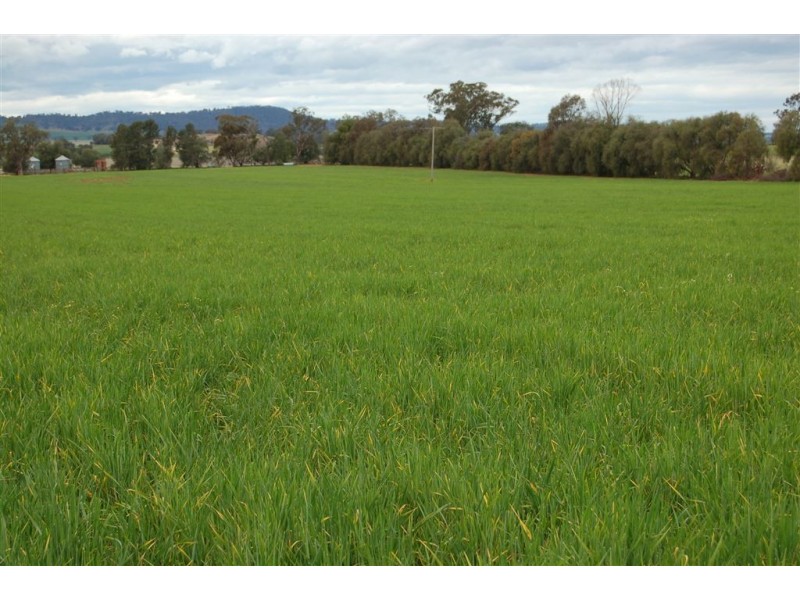 Una 577 Tooyal Road, Wagga Wagga NSW 2650