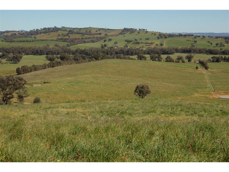 Glencoe Tumbarumba Road, Wagga Wagga NSW 2650