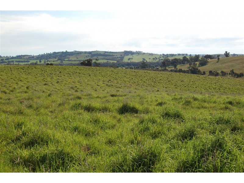 Glencoe Tumbarumba Road, Wagga Wagga NSW 2650