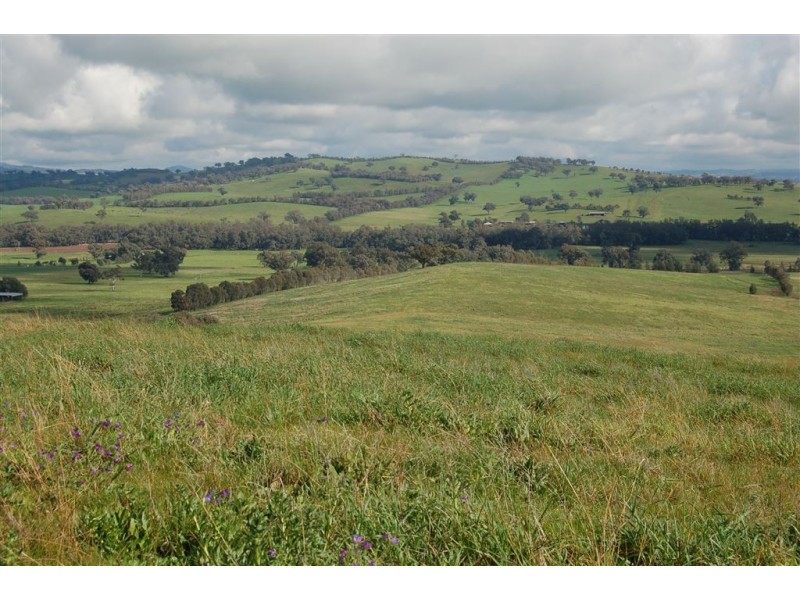 Glencoe Tumbarumba Road, Wagga Wagga NSW 2650