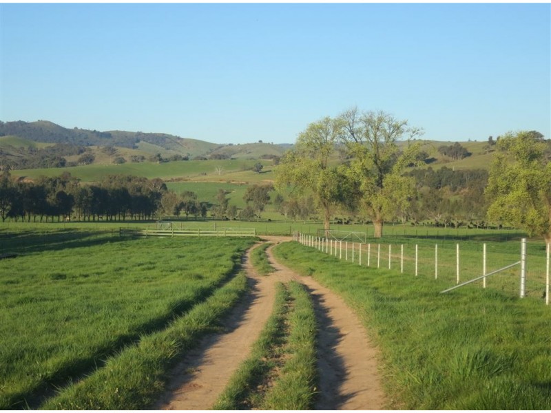 Humula Station, Humula Road via, Wagga Wagga NSW 2650