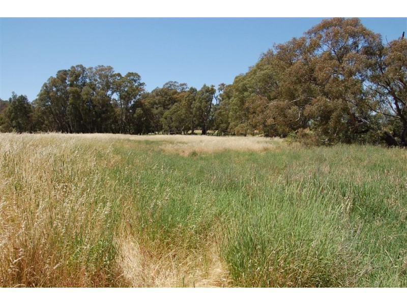 Wagga Wagga NSW 2650