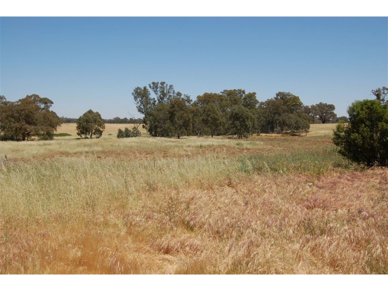 Wagga Wagga NSW 2650