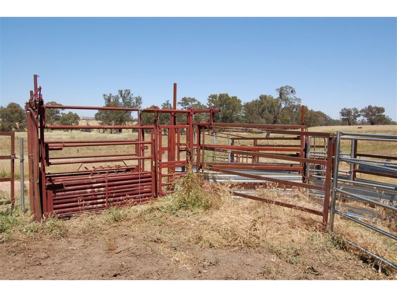 Wagga Wagga NSW 2650