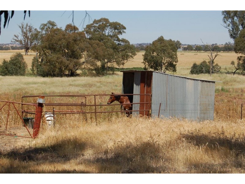 Wagga Wagga NSW 2650