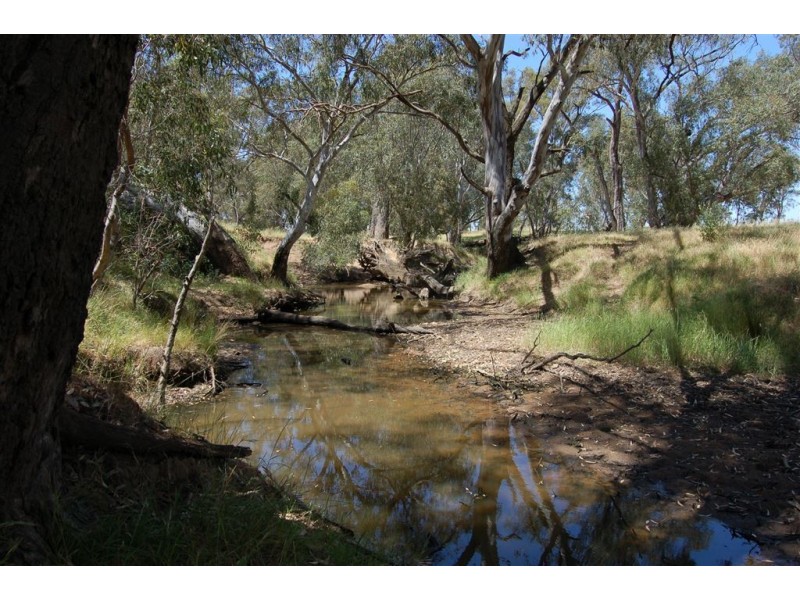 Wagga Wagga NSW 2650