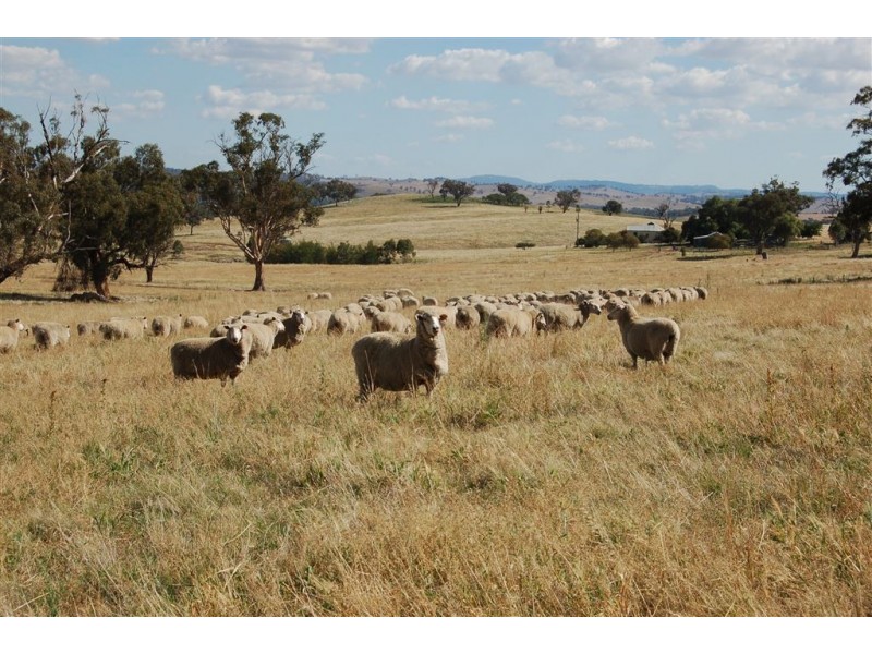 Myoora 2263 Oura Road, Wagga Wagga NSW 2650