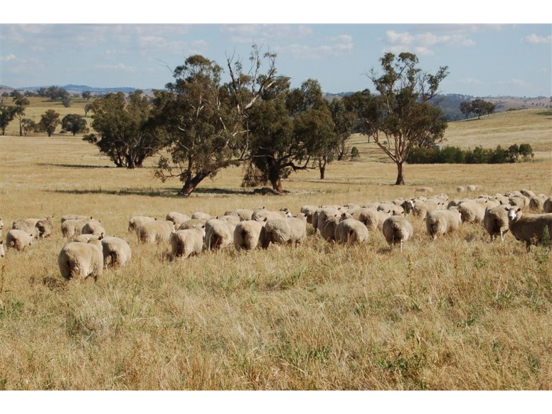 Myoora 2263 Oura Road, Wagga Wagga NSW 2650