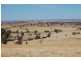 Myoora 2263 Oura Road, Wagga Wagga NSW 2650