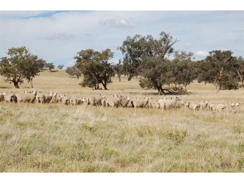 Myoora 2263 Oura Road, Wagga Wagga NSW 2650